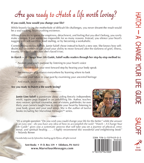 Hatch Back Cover LowRes