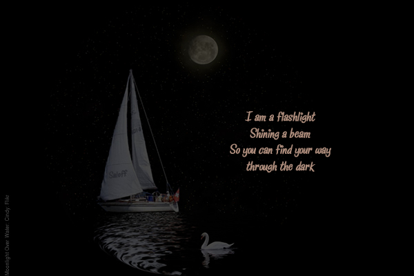 I am a flashlight